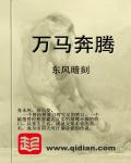 大唐之绝版马官